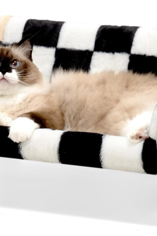 MEWOOFUN Raised Cat Bed with Wooden Legs – Soft Washable Cat Sofa for Indoor Cats & Kittens (56×45cm, 15kg Capacity)