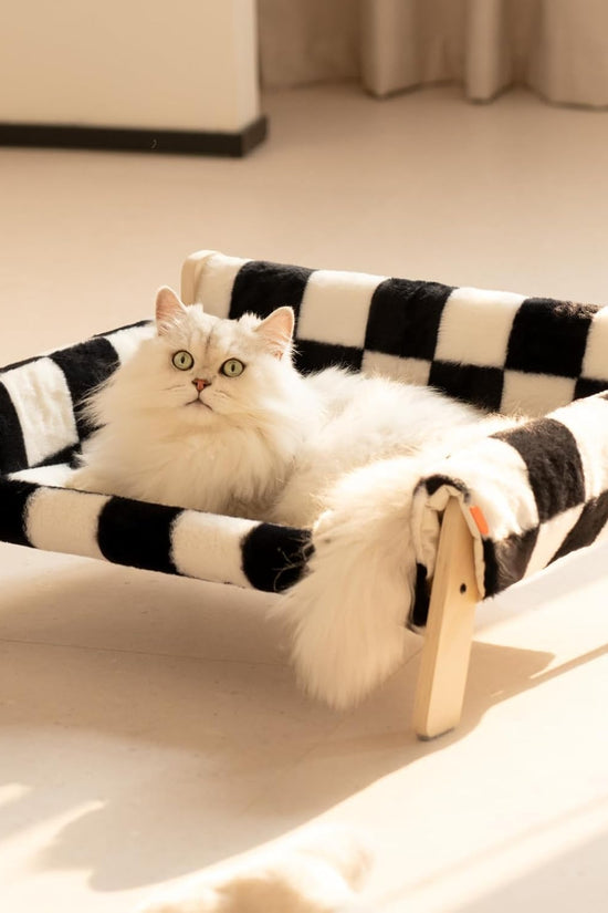 MEWOOFUN Raised Cat Bed with Wooden Legs – Soft Washable Cat Sofa for Indoor Cats & Kittens (56×45cm, 15kg Capacity)