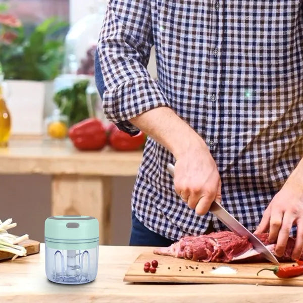 Mini Electric Food Processor Chopper